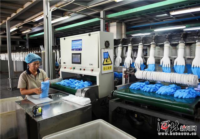 產(chǎn)學研一體化為翼，丁腈手套海外市場熱銷調(diào)查